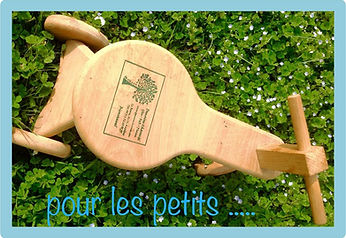 + 2018 - Jardin - Houten fietsje BLAUW K