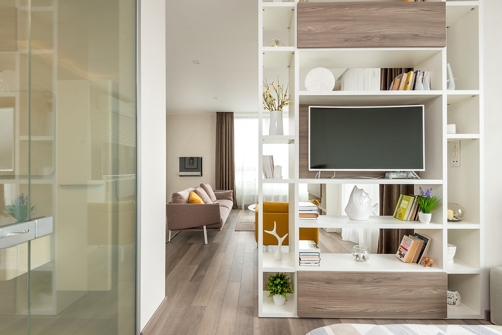 A large room with a modern storage shelf as a room divider