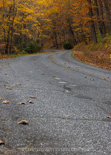 Blue Ridge, Blue Bridge Parkway, North Carolina, Fall. 2024, Fall Season