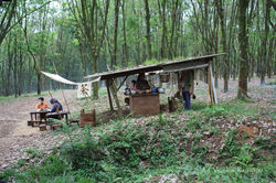 Food stall