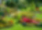 mini_AdobeStock_56352889.jpeg
