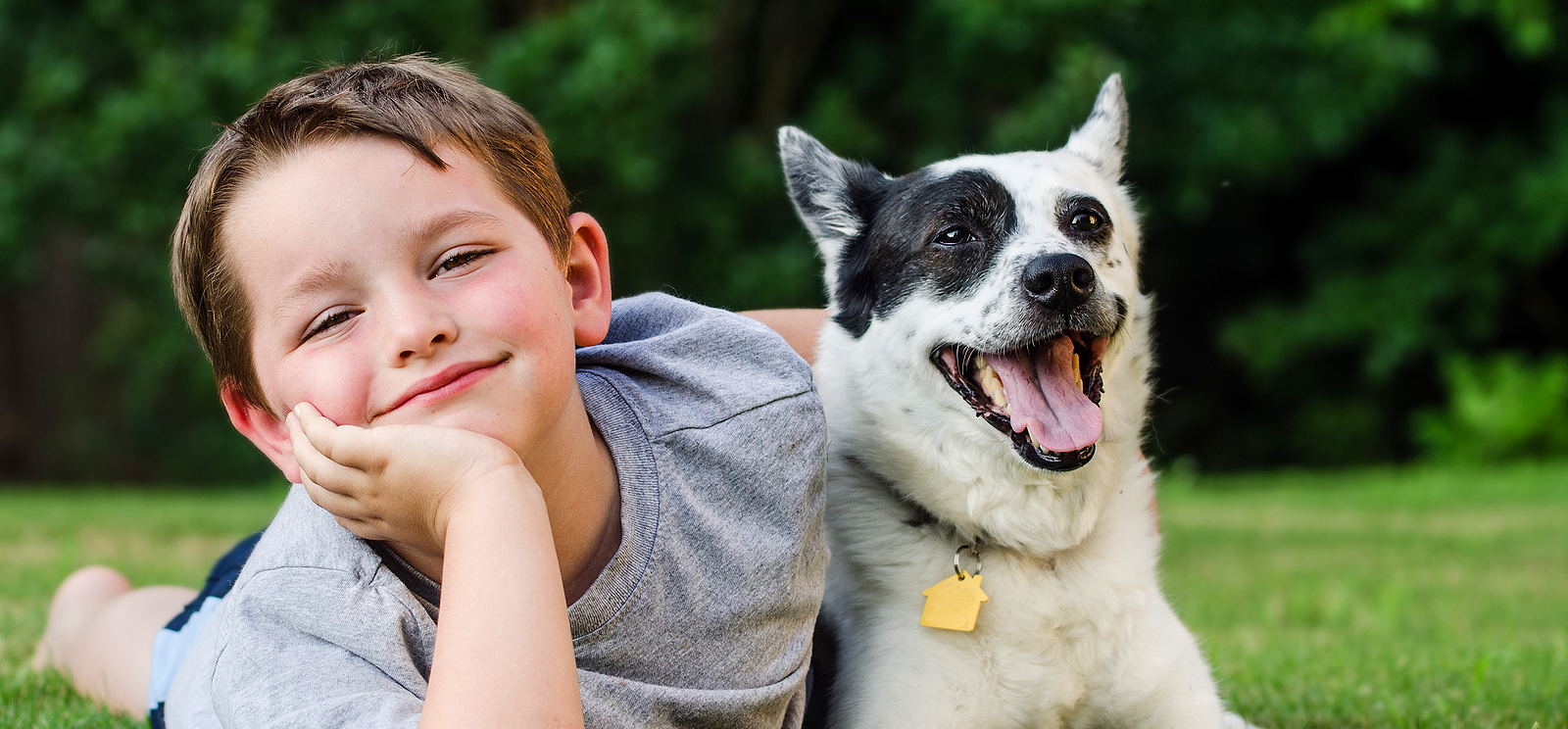 chris carr dog trainer