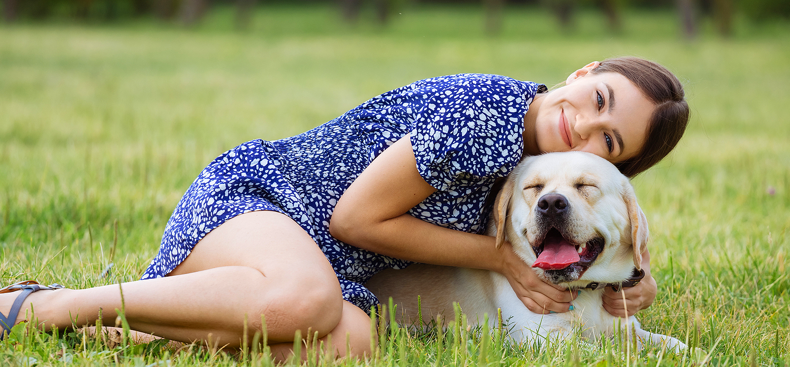 chris carr dog trainer