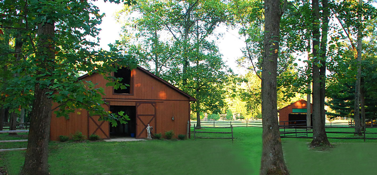 chris carr dog trainer