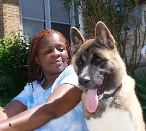 1 Puppy And Dog Obedience Training Stronghaus Philadelphia United States