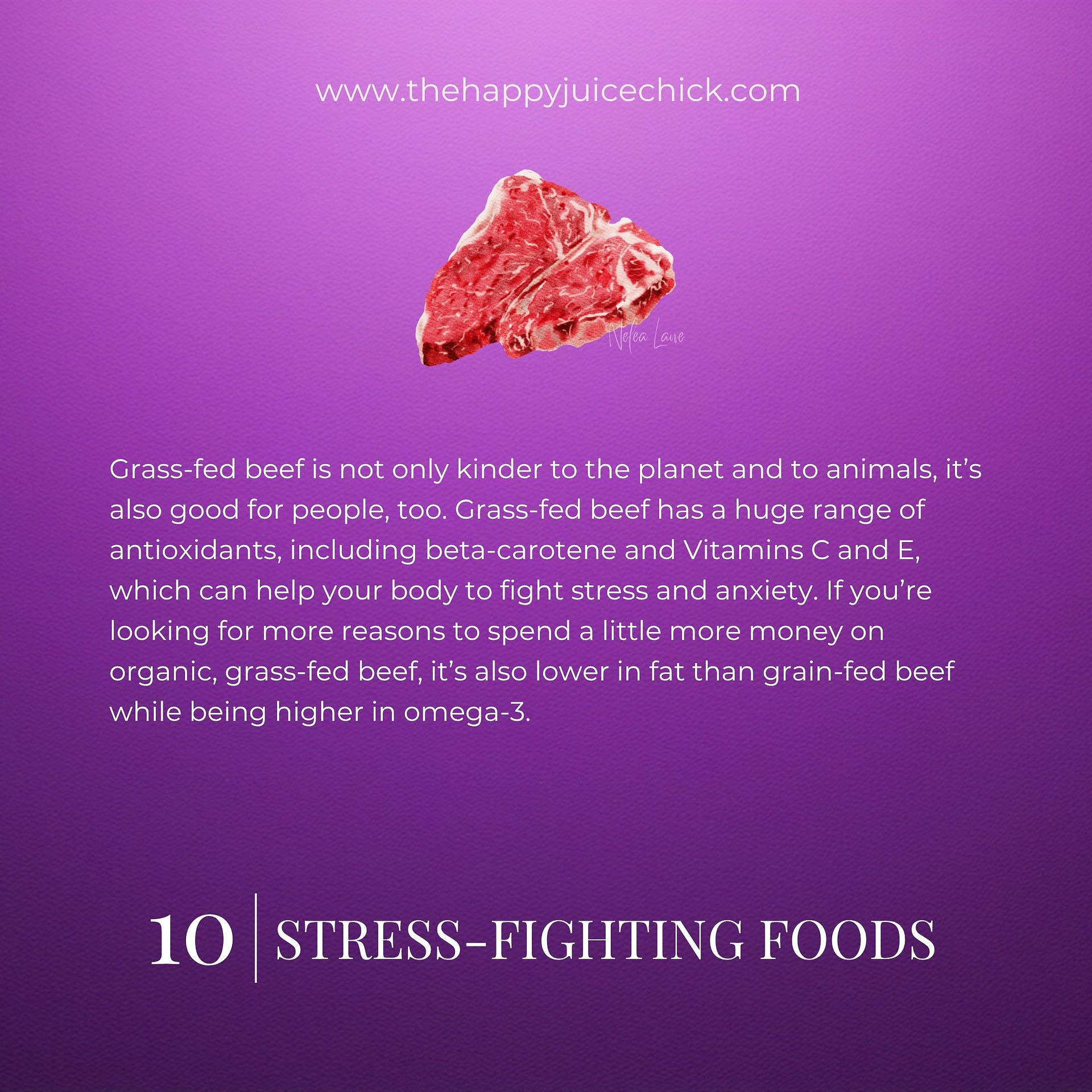 Grass-fed beef illustration representing protein-rich stress-supporting food