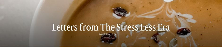 A bowl of acorn squash soup with dried cranberries and pumpkin seeds representing the Letters from the Stress Less Era series by the Happy Juice Chick.