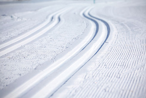 AdobeStock_136352327.jpeg