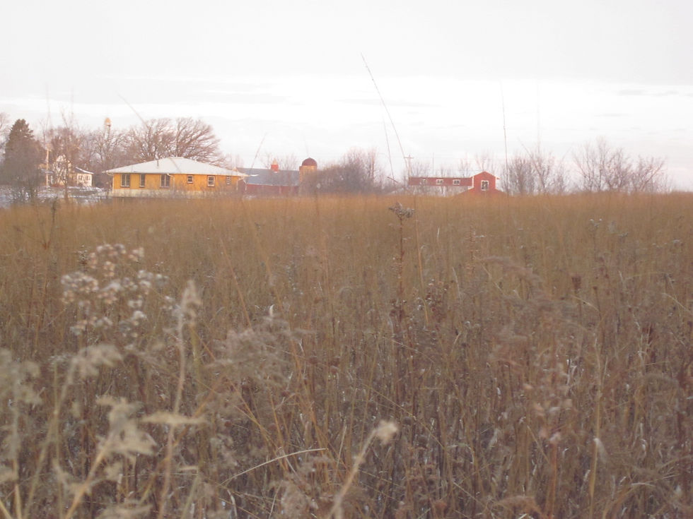 house_prarie.JPG