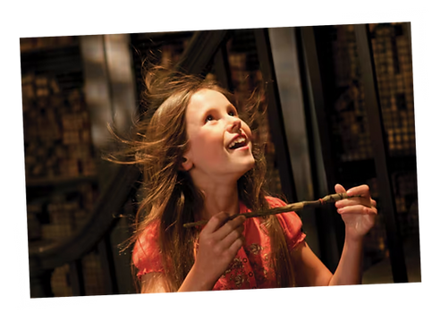 Ollivanders™ Experience in Diagon Alley
