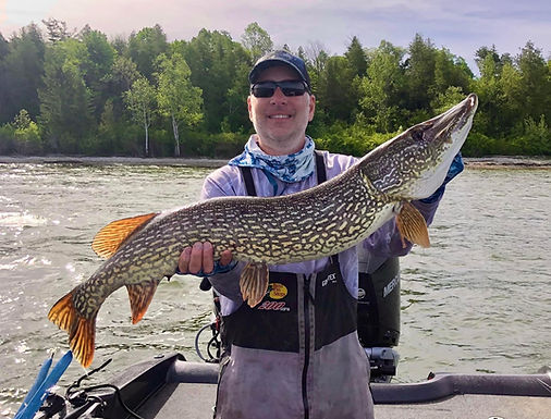 Big northern pike in Door County, WI
