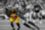 Photo Credit: Emilee Fails /Pittsburgh Steelers