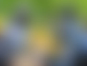 2026 Steelers Training Camp Preview: Why Jaheim Bell Should Not Be Ignored