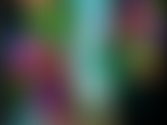 Colorful floral and abstract bird designs surround a glowing blue mirror, set against a black background with vibrant, vivid details.