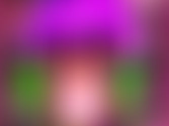 Why Your Peace of Mind is the Only Goal That Matters 