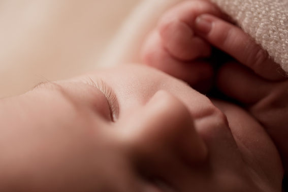 Séance photo naissance, séance photo grossesse, séance photo bébé, séance photo studio.
Photographe Artemare, Photographe Belley, Photographe Aix-les-Bains, Photographe Chambéry, Photographe Ain, Photographe Savoie, Photographe Haute-Savoie.