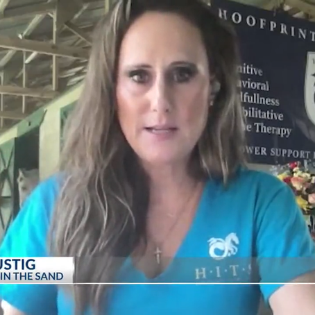 News 2 Checks in on H.I.T.S. on Veteran's Day