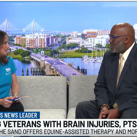 Live 5 News Interview with Sarah Lustig