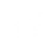 Sussexsharp-working-white.png
