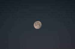 noches de luna llena