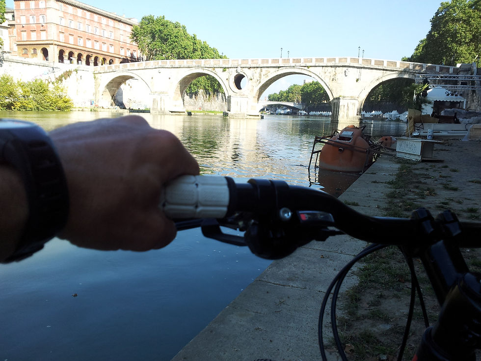 20130727_171744_1.jpg