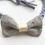 Thumbnail: Small Flecked Bow/Dickie Bow