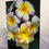 Thumbnail: Frangipani greeting card with custom message