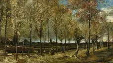 A Natureza Fala Sombria