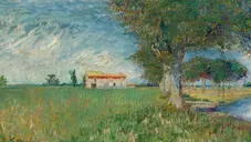 A Natureza É O Meu Lar