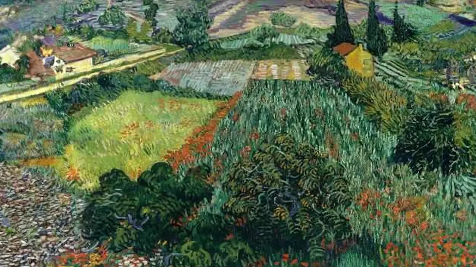 A Diversidade Procura A Sua Ordem