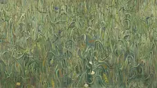 A Profusão Confusa De Pensamentos