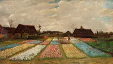 A Colonização Da Terra