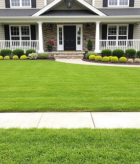 neatly mowed front lawn of house.jpg
