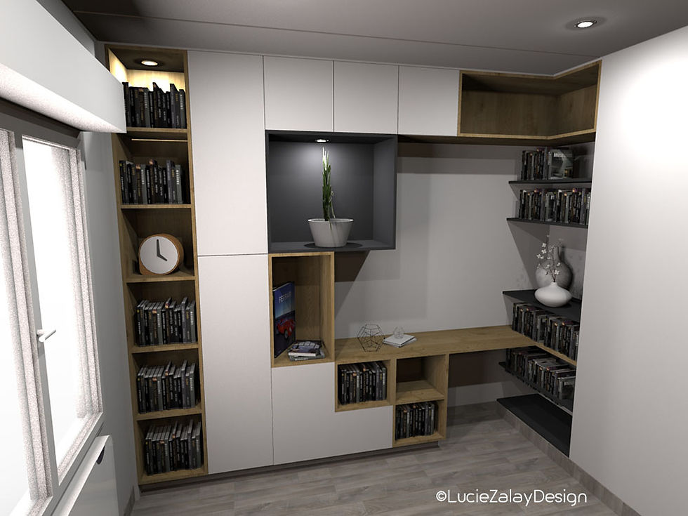 Bibliotheque 1