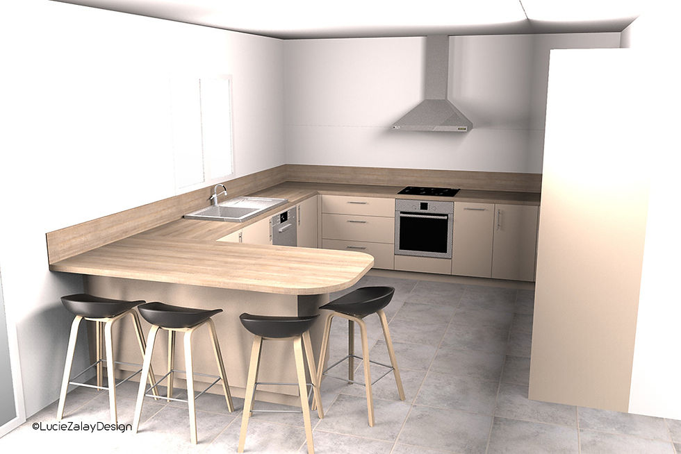 3D _ Cuisine ouverte
