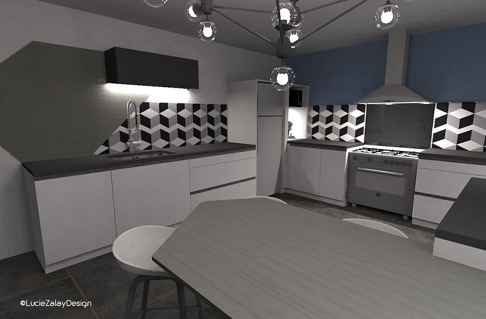 3D _ Cuisine contemporaine B&W