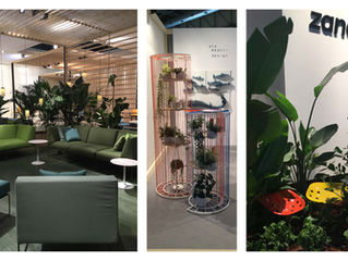 Saloni del mobile _ Milan 2016