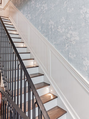 the great white (and blue) north stairway