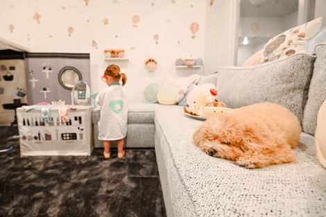 scatter my jellycats at bergdorfs