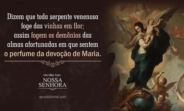 22 de maio.png