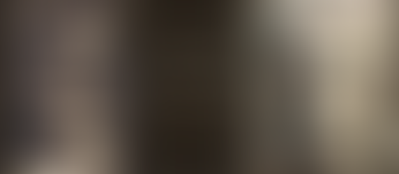 Sagrada Face de Jesus