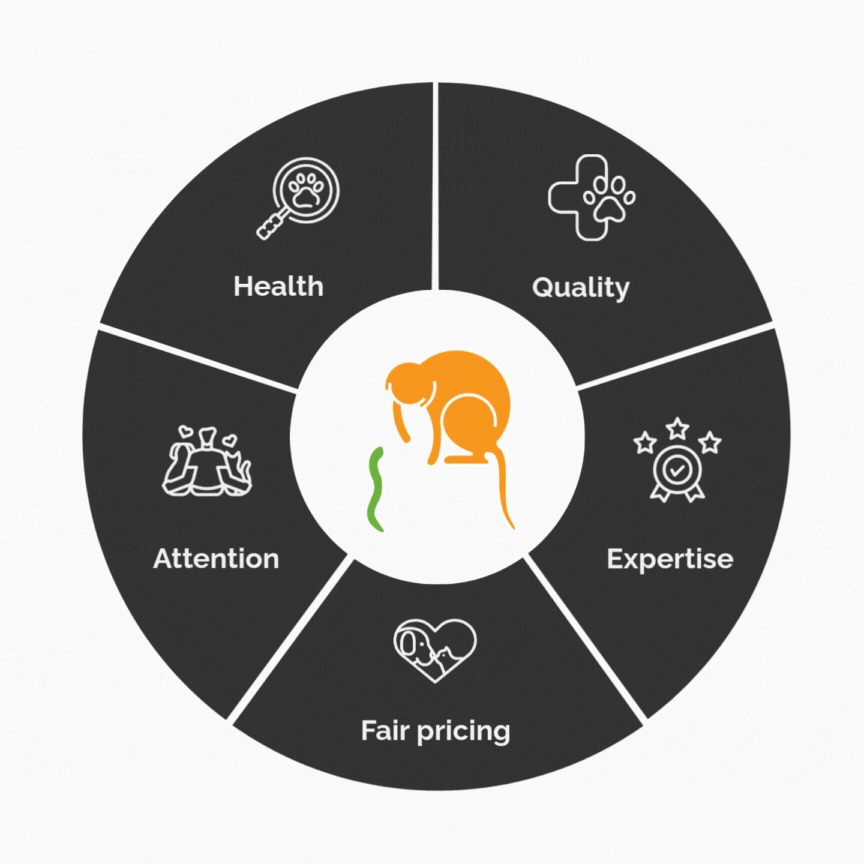 Vet website motion ENG.gif