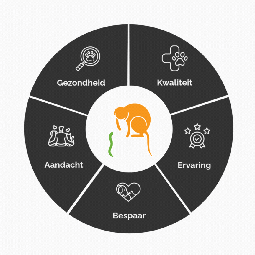 hero motion news.gif