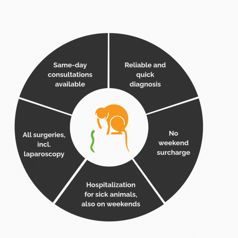 vet motion 2 ENG.gif