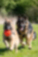 _RS95961.jpg