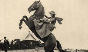 Giddy Up!