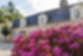 Cour du domaine florale à l'éco-Domaine du Chalonge à Héric
