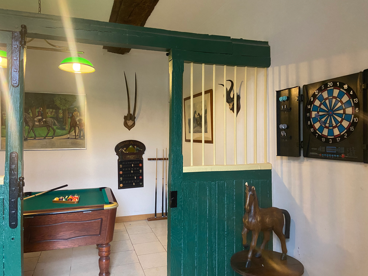 Salle de billard et fléchette araucaria