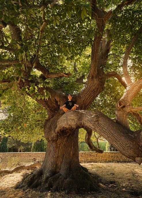 SITTING ON TREE.png