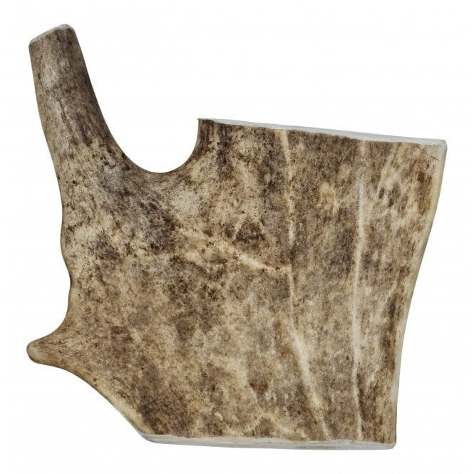 Fallow Antler - Jaspers Choice